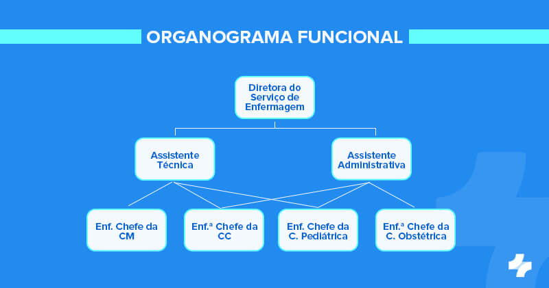 Qual a importância de montar um organograma de uma clínica médica? 6 organograma funcional clinica medica