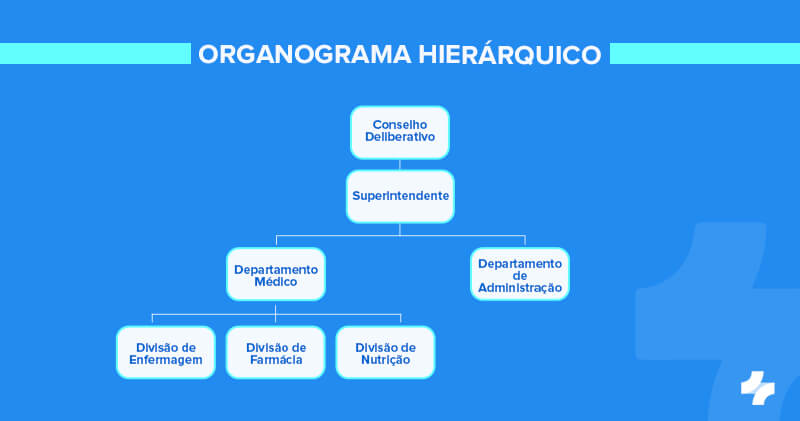 Qual a importância de montar um organograma de uma clínica médica? 5 organograma hierarquico clinica medica