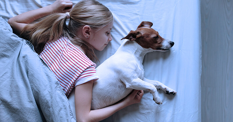 medicina do estilo de vida crianca e cachorro